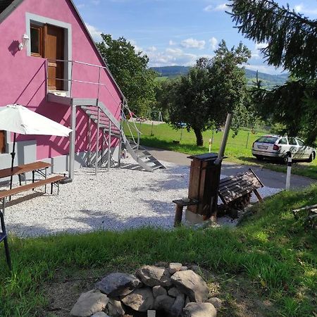 Apartman Sumava U Rybaku Volenice  Dış mekan fotoğraf