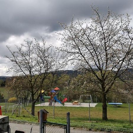 Apartman Sumava U Rybaku Volenice  Dış mekan fotoğraf