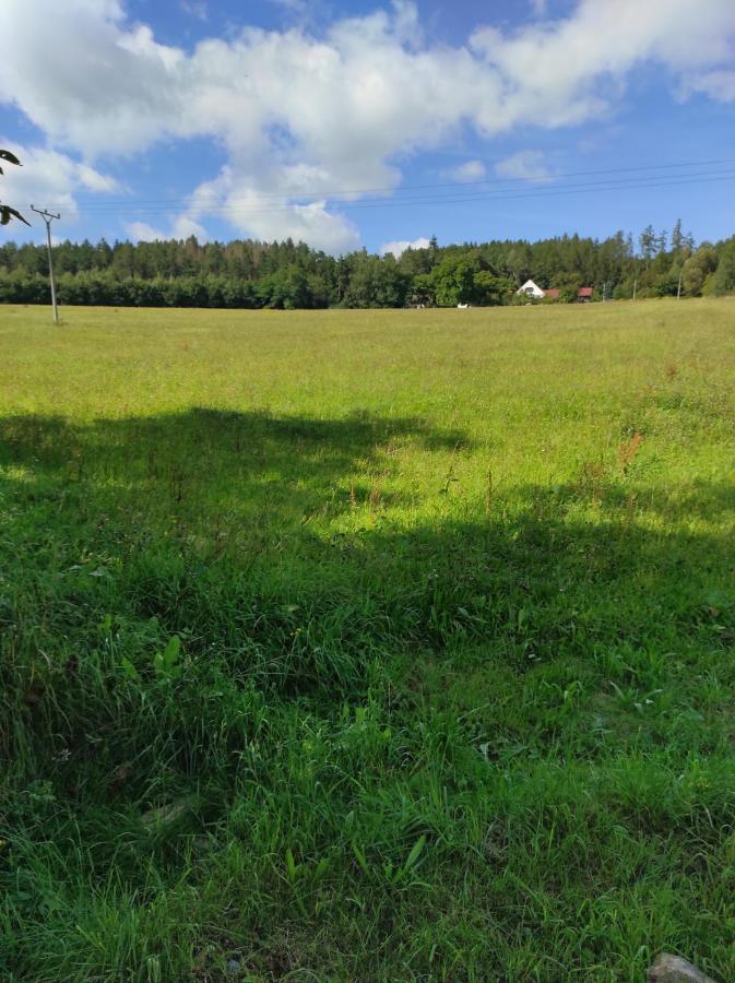 Apartman Sumava U Rybaku Volenice  Dış mekan fotoğraf