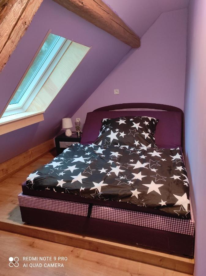 Apartman Sumava U Rybaku Volenice  Dış mekan fotoğraf