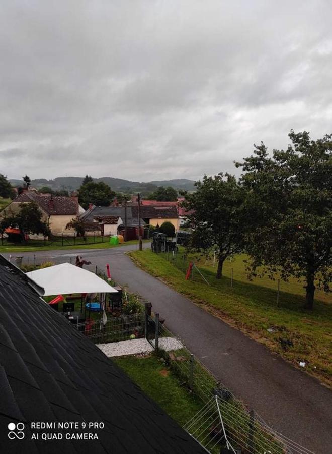 Apartman Sumava U Rybaku Volenice  Dış mekan fotoğraf