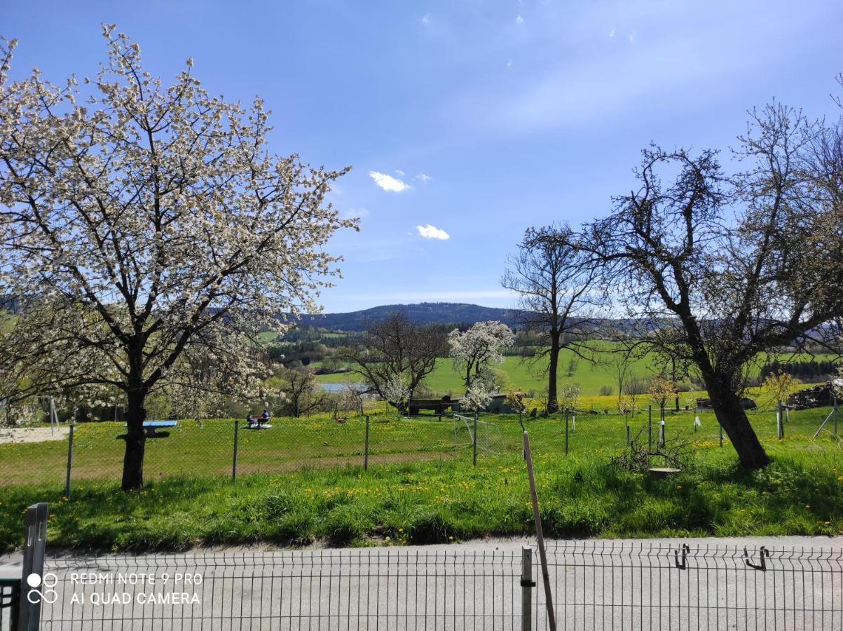 Apartman Sumava U Rybaku Volenice  Dış mekan fotoğraf